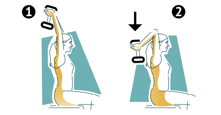 Press Francês com halter, Press Francês com Halter Imagem errada ✖️Peso do  corpo demasiado para trás ✖️ Grande Tensão nos ombros e omoplatas ✖️  Lordose acentuada (Hiperlordose-, By Be-Fit Leiria