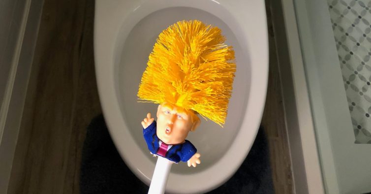 É a venda viral do ano: o piaçaba de Donald Trump que “torna a casa de banho  grande outra vez” – NiT