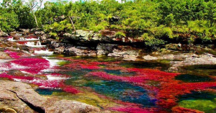 Viagem pelos mais belos fenómenos naturais