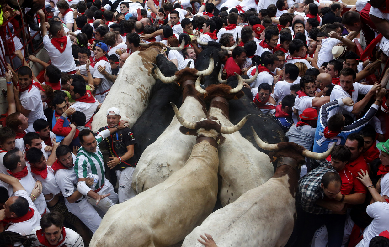 Cinco feridos no regresso da largada de touros em Pamplona