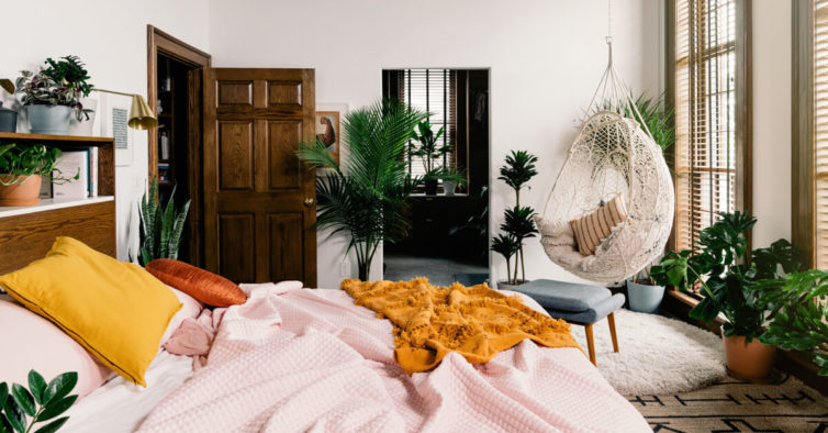 As plantas que deve ter no quarto para conseguir dormir melhor – NiT