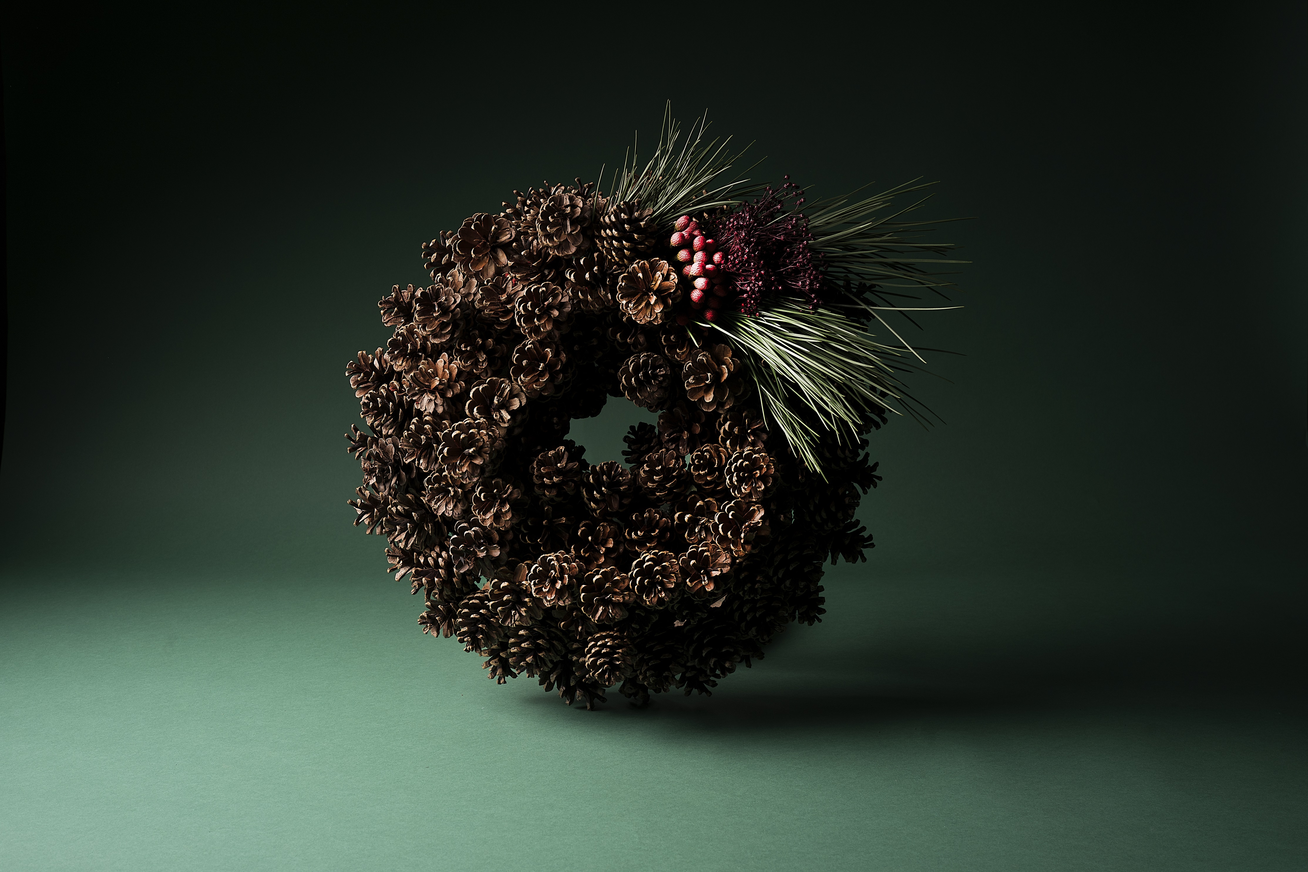 bloom