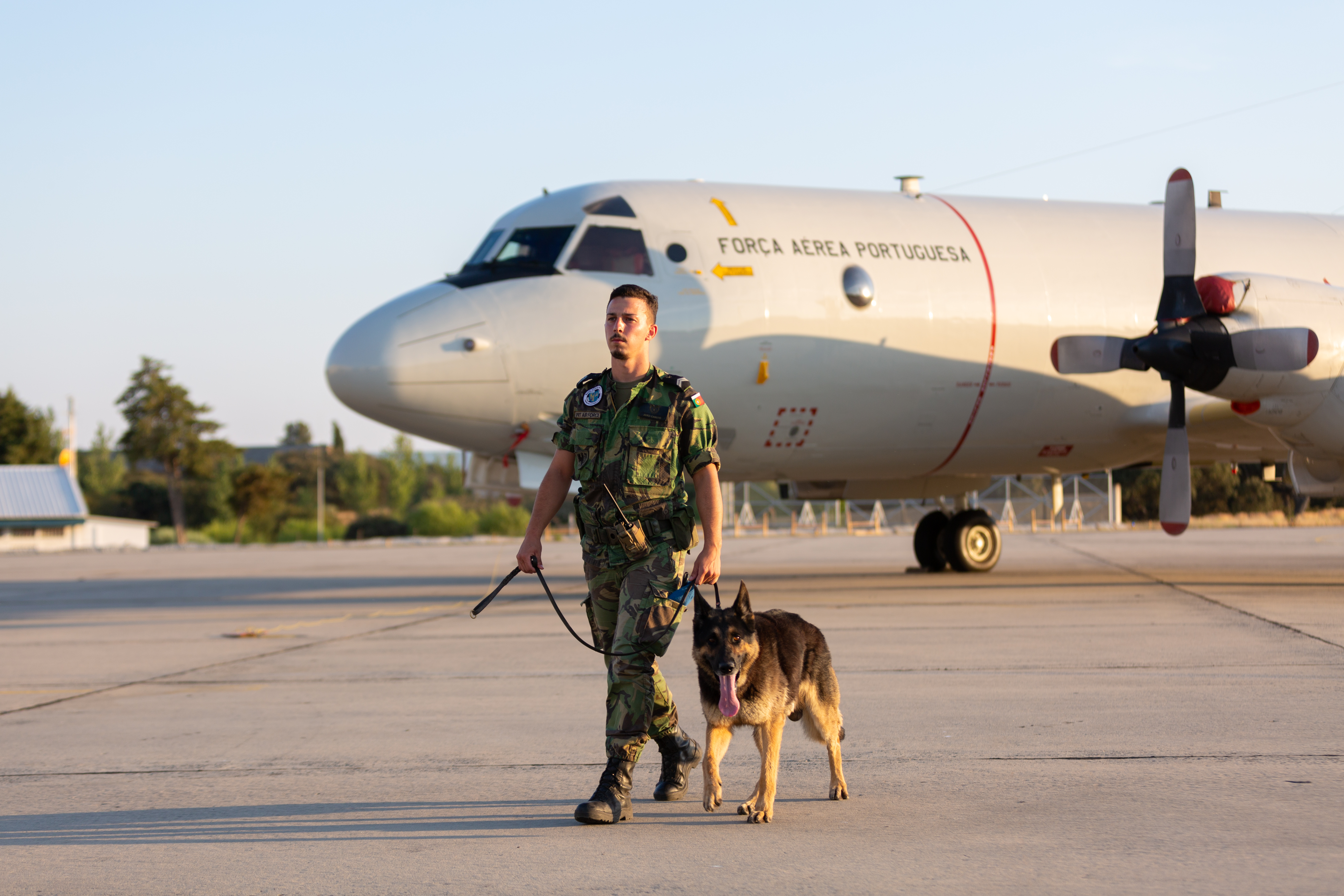 Força Aérea Portuguesa