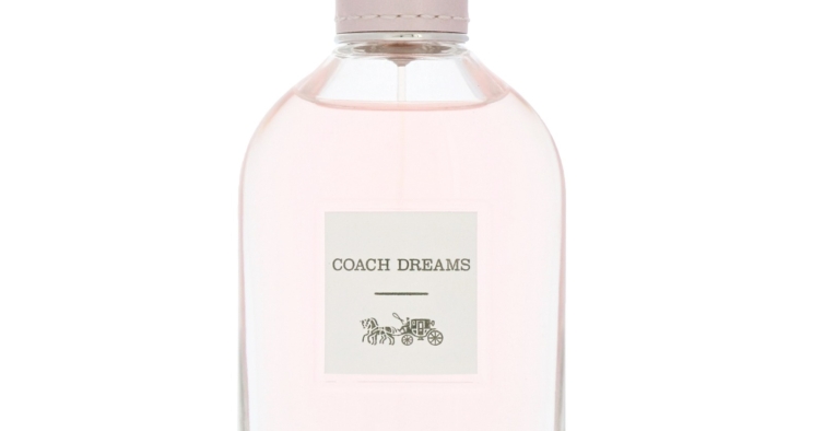 Coach Dreams (34,5€)