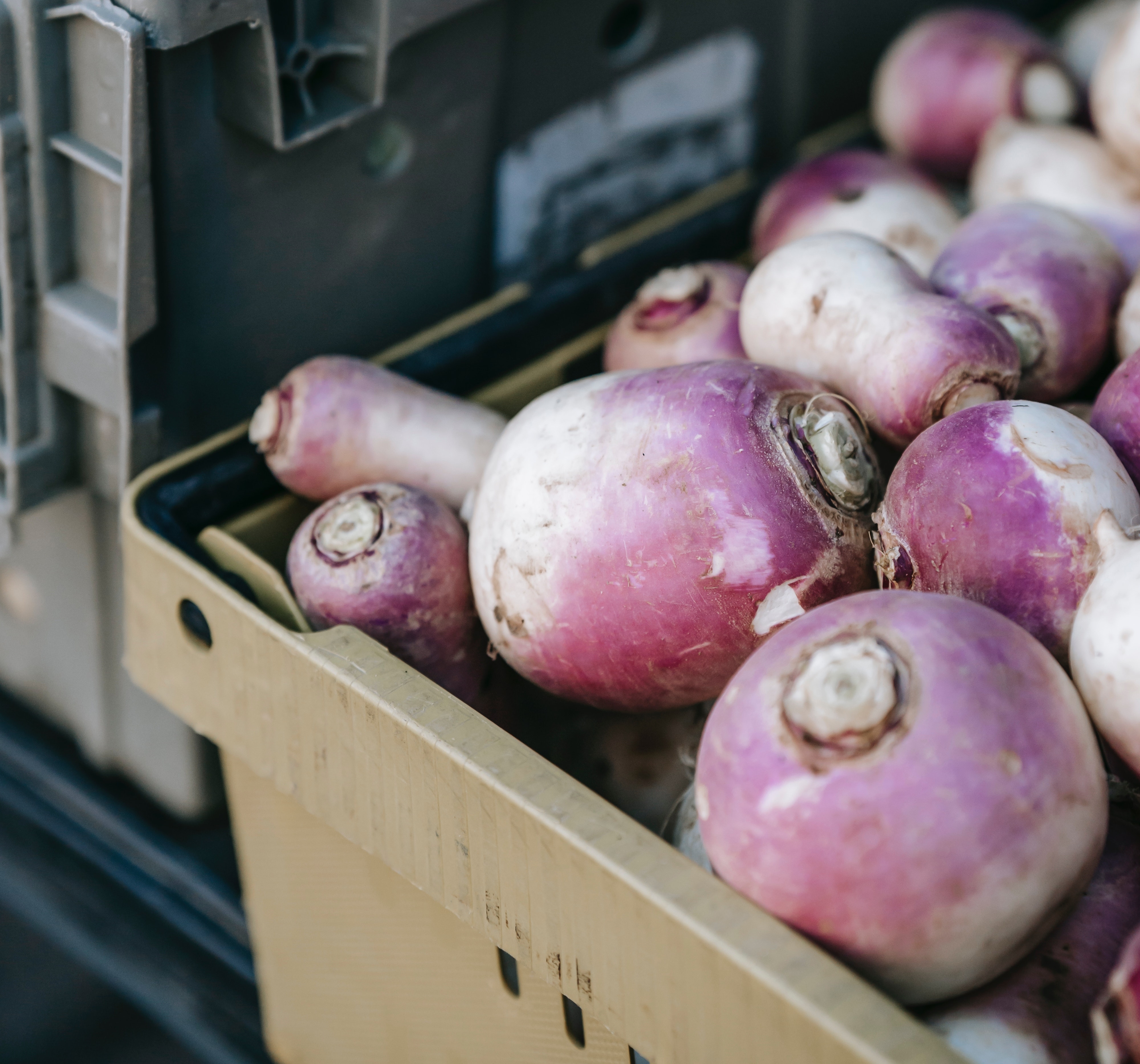 O legume que ajuda a reduzir o apetite e que deve incluir já na sua alimentação