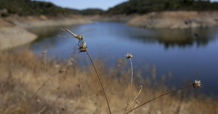 É oficial: Portugal continental está em situação de seca severa e extrema