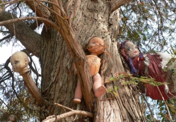 Fãs de “Annabelle”, esta ilha mexicana está cheia de bonecas decapitadas