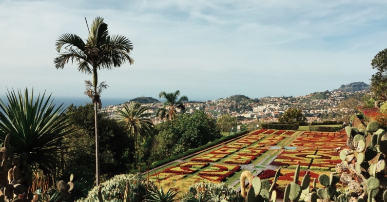 Temos umas férias de sonho na Madeira por 215€ (com voo e hotel)