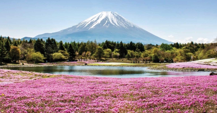 O Japão vai finalmente reabrir ao turismo global e levantar as restrições da pandemia