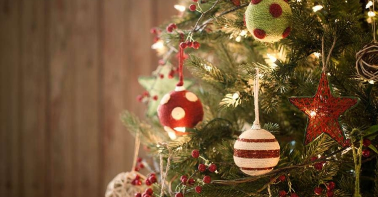 Já pode alugar a sua árvore de Natal solidária: o Pinheiro Bombeiro está de volta – NiT Já pode alugar a sua árvore de Natal solidária: o Pinheiro Bombeiro está de volta – NiT