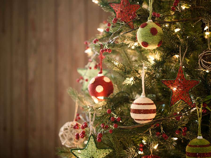 Já pode alugar a sua árvore de Natal solidária: o Pinheiro Bombeiro está de  volta – NiT