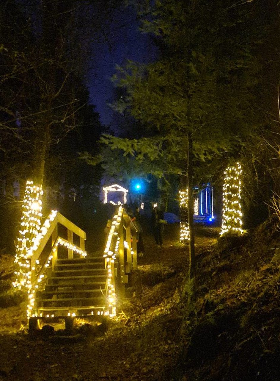 Magia das luzes de Natal regressa à floresta encantada às portas da  Peneda-Gerês – NiT