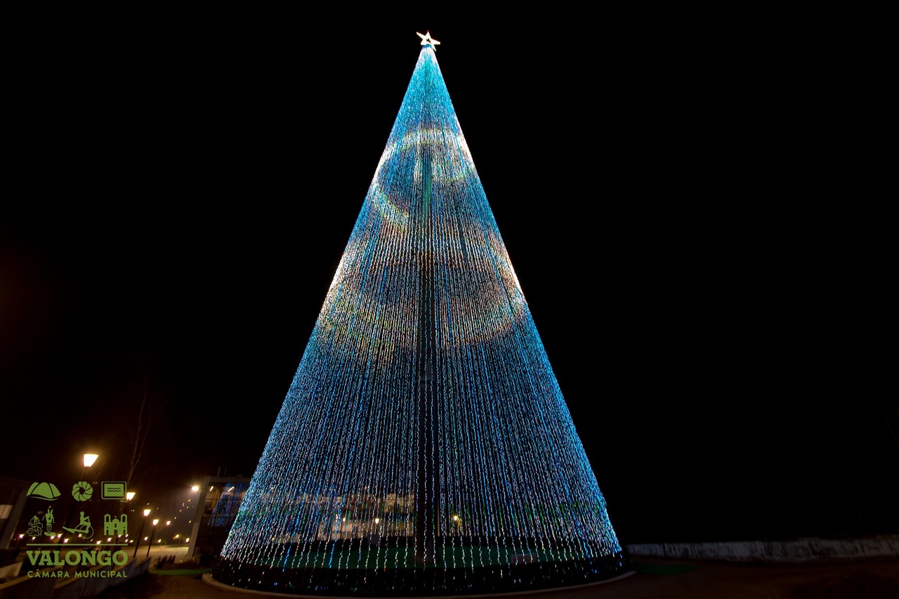 Maior árvore de Natal do País está de volta a Ermesinde. Tem 55 metros – NiT