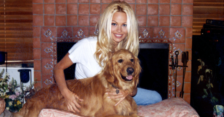 Tentou matar a babysitter e foi assediada por um ator: as revelações de Pamela Anderson