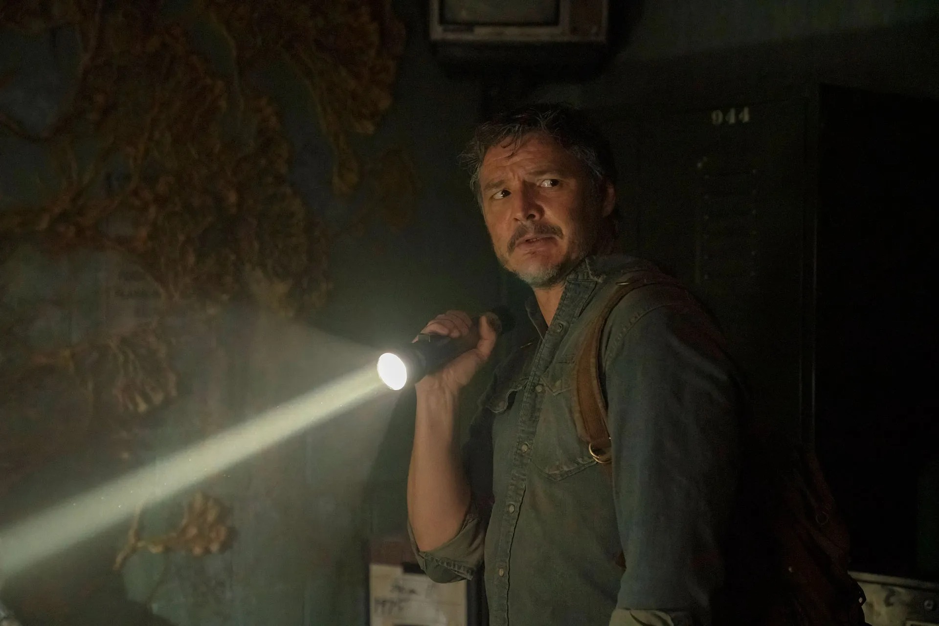 The Last of Us: É possível uma pandemia de fungos igual mostrada na série?
