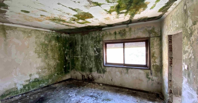 Era uma casa abandonada de 1950. Agora é um refúgio moderno com pé-direito de 5 metros