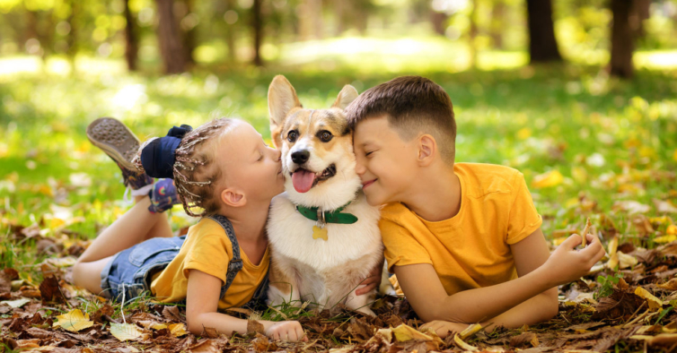 Atenção, pais. Cães e gatos podem ajudar a reduzir alergias alimentares nos miúdos