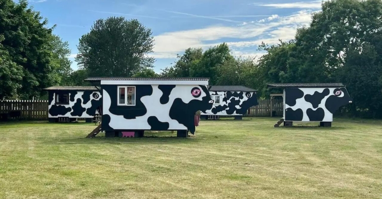 Un verdadero paraíso para niños granjeros con bungalows que parecen vacas – NiT