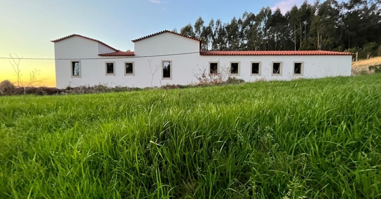 A Casa da Milheira tem 300 anos e tornou-se num alojamento com piscina e maracujás