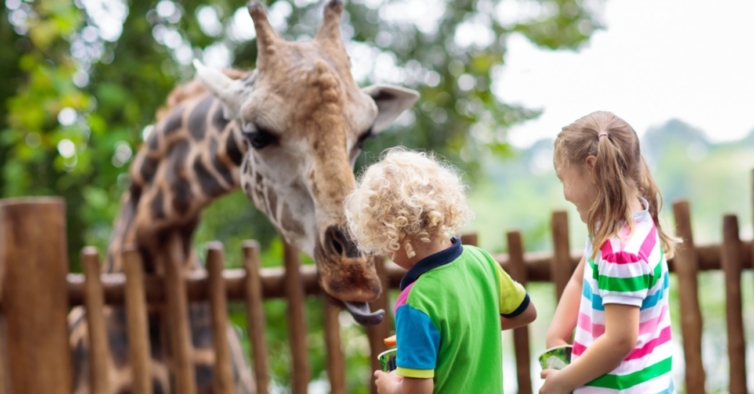 O Jardim Zoológico vai ter um programa especial para celebrar o Dia da Criança