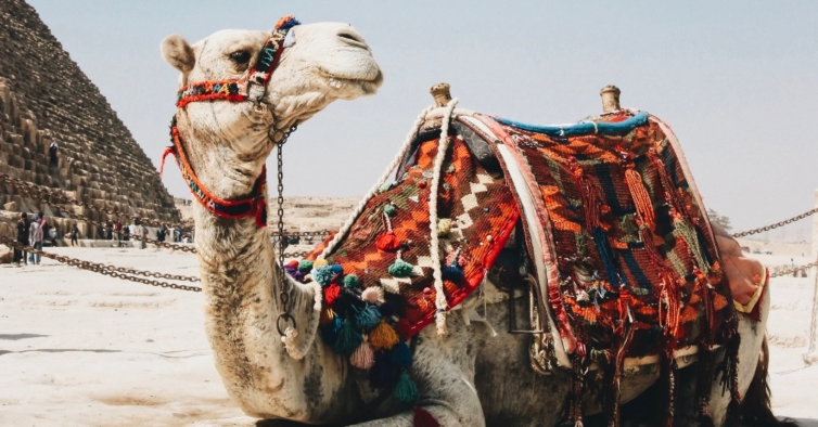 Não é uma miragem: esta semana em Marrocos custa mesmo 999€ com tudo incluído