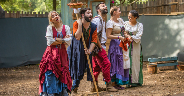 Viagem Medieval regressa a Santa Maria da Feira