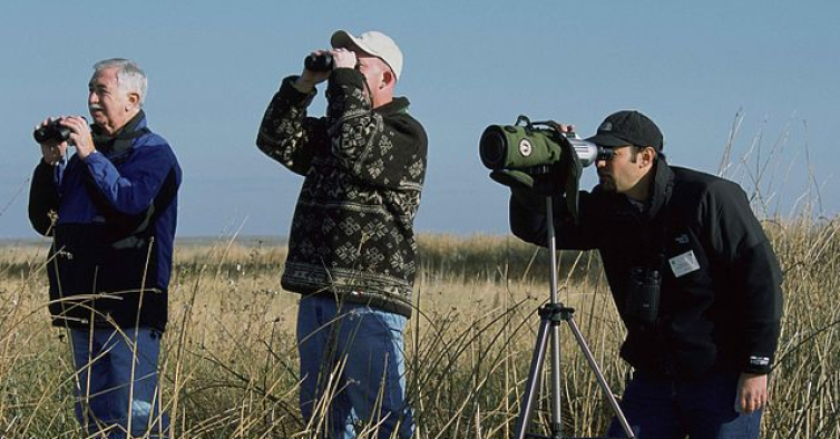 Vem aí o mega evento de birdwatching com atividades por todo o País