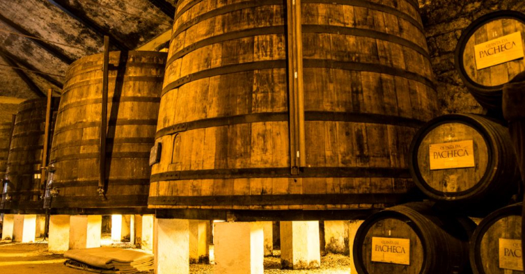 A Quinta da Pacheca também produz vinho – NiT