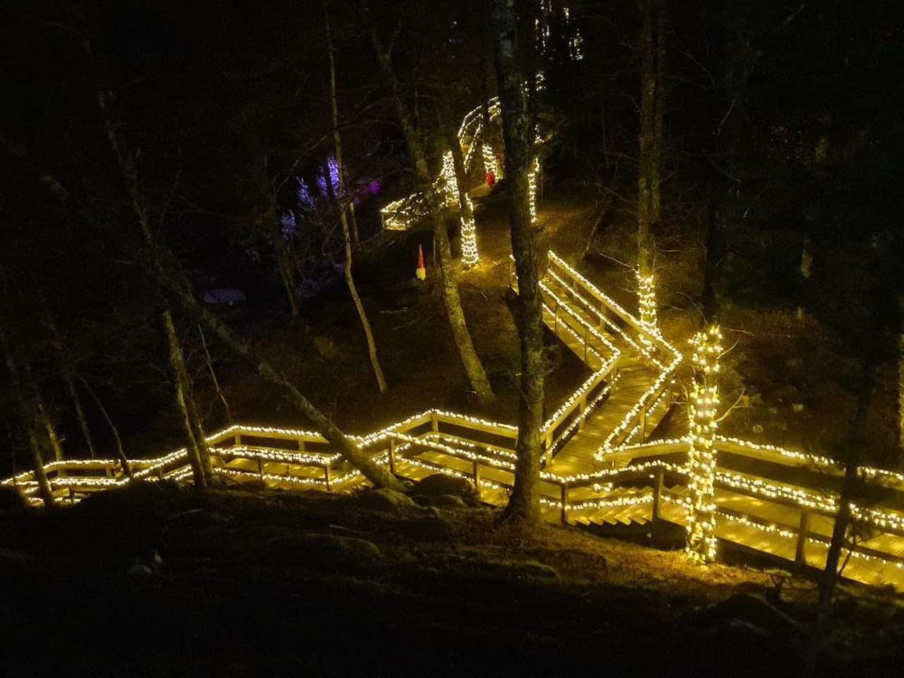 Magia das luzes de Natal regressa à floresta encantada às portas da  Peneda-Gerês – NiT