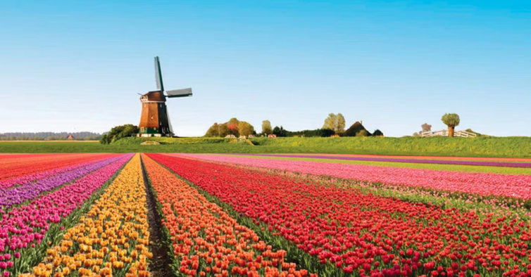 El jardín de tulipanes más grande (y más colorido) del mundo ya está abierto al público – NiT