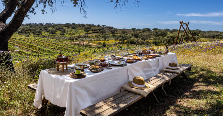 O Baixo Alentejo vai ser a próxima Cidade Europeia do Vinho?