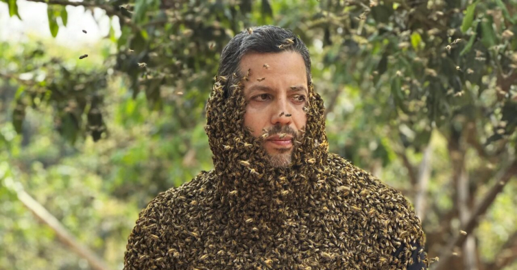 David Blaine tem nova série na Disney+ com cobras, gelo e truques com Harrison Ford