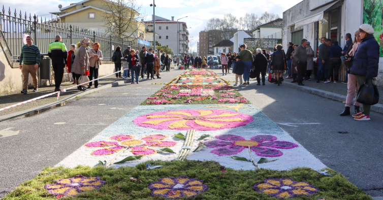 Paredes vai receber a primavera com um festival de flores e jardins iluminados