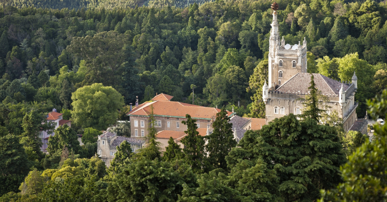 Trilho Luso Bussaco, 11 de maio