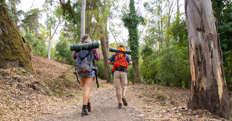 As sapatilhas da VEJA à prova de água são ideais para caminhadas na natureza