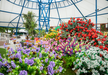 O primeiro jardim do mundo feito de LEGO já abriu. Tem 58 espécies de plantas