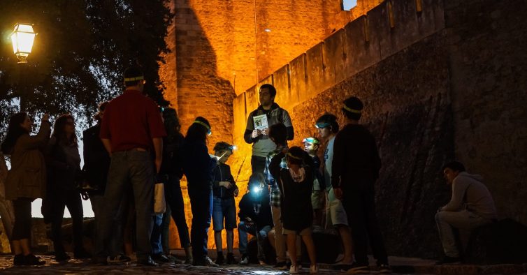 Este verão há visitas noturnas ao Castelo de São Jorge para conhecer espécies de morcegos