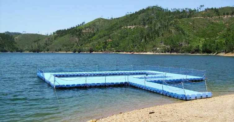 O programa de verão perfeito: caminhadas entre praias fluviais e mergulhos no Zêzere