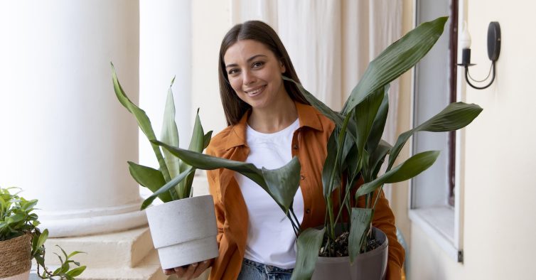 Plantas que decoravam o GaiaShopping vão ser todas oferecidas aos visitantes