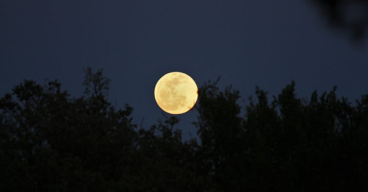 Este sábado, há uma caminhada noturna na Serra de Sintra para ver a lua cheia
