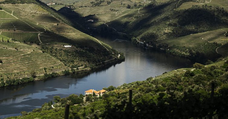 Ljubomir, Rui Paula e Pedro Lemos vão juntar-se no Douro para dois almoços especiais