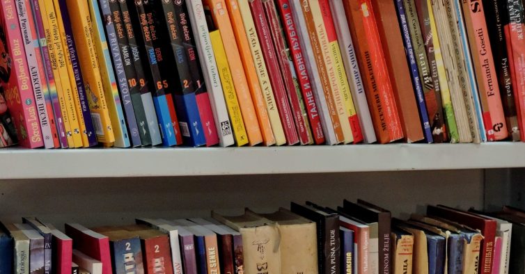 O “romance marcante” que é uma leitura obrigatória chega este mês a Portugal